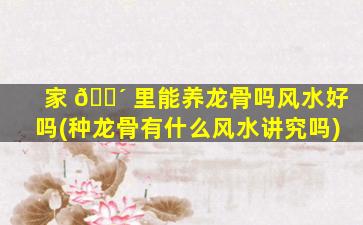 家 🐴 里能养龙骨吗风水好吗(种龙骨有什么风水讲究吗)